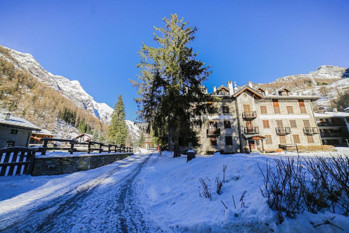Casa Dei Larici 300M From Piste Apartment Gressoney-La-Trinite Bagian luar foto